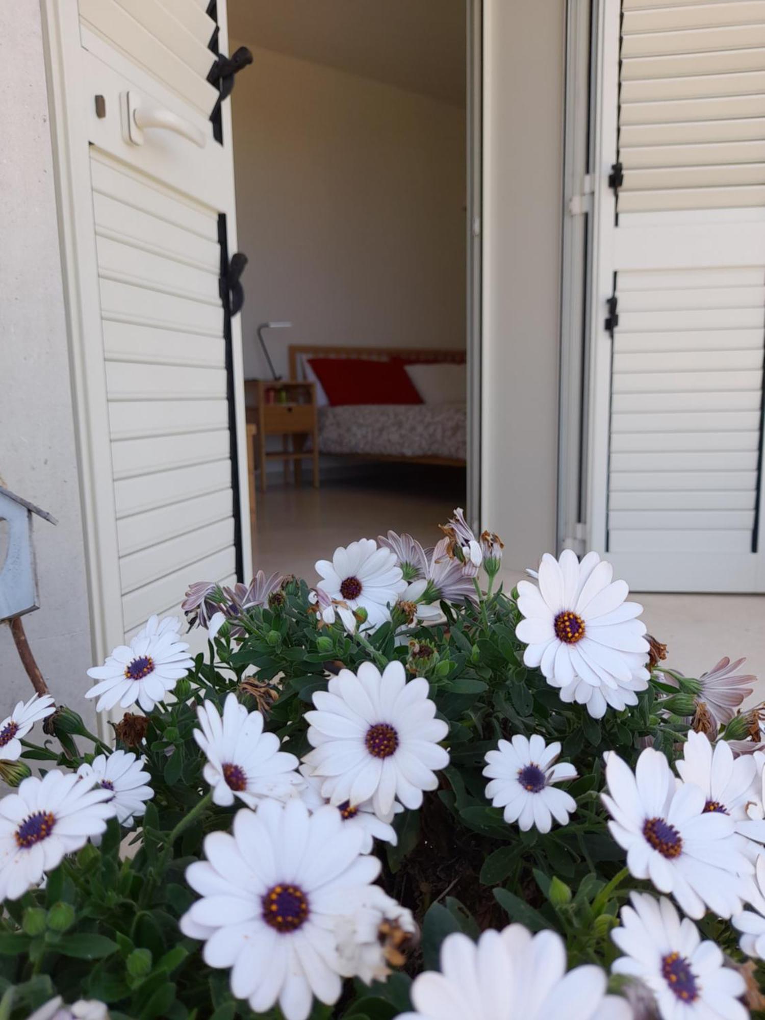 Tenuta Valle Dell Idro Otranto Con Piscina Casamassella Exterior foto